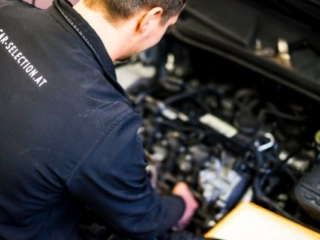 Car Selection – Dominik Lenzenweger – Autohaus Bezirk Urfahr-Umgebung